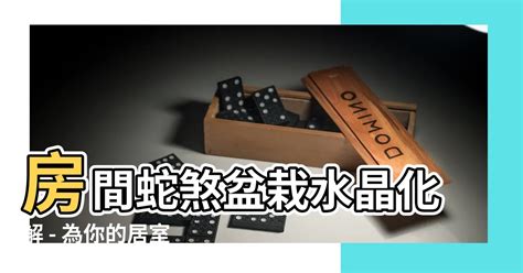 房間蛇煞化解|【房間蛇煞化解】房間蛇煞盆栽水晶化解